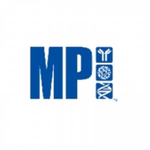 MP